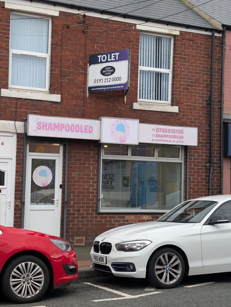 ACM shop sign for Shampoodled dog grooming on a terraced shop front